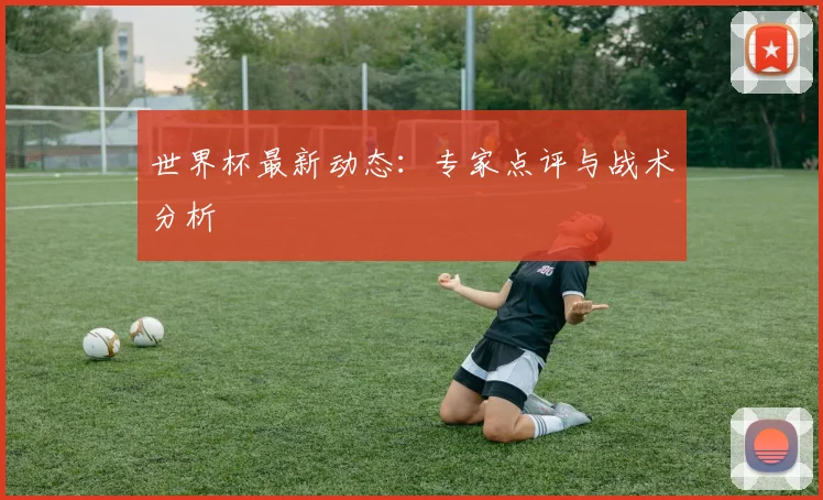 世界杯最新动态:专家点评与战术分析