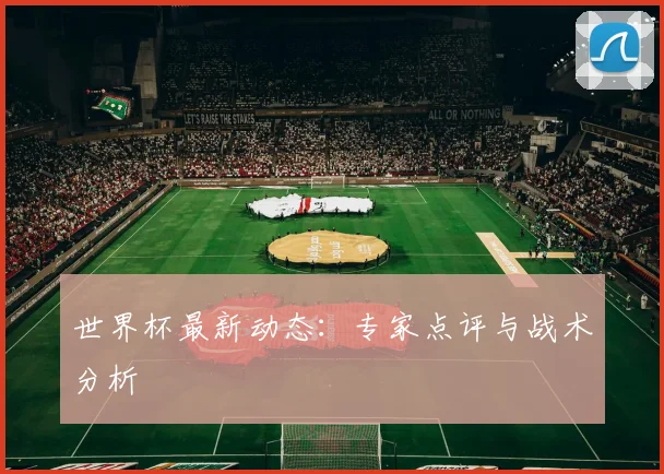 世界杯最新动态：专家点评与战术分析